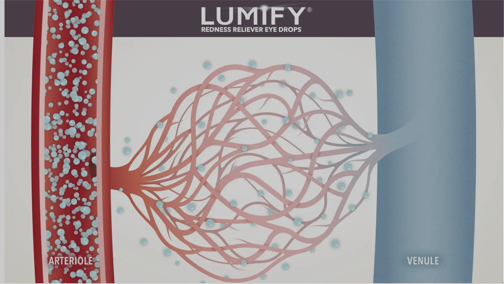 Image of veins with the text Lumify above it